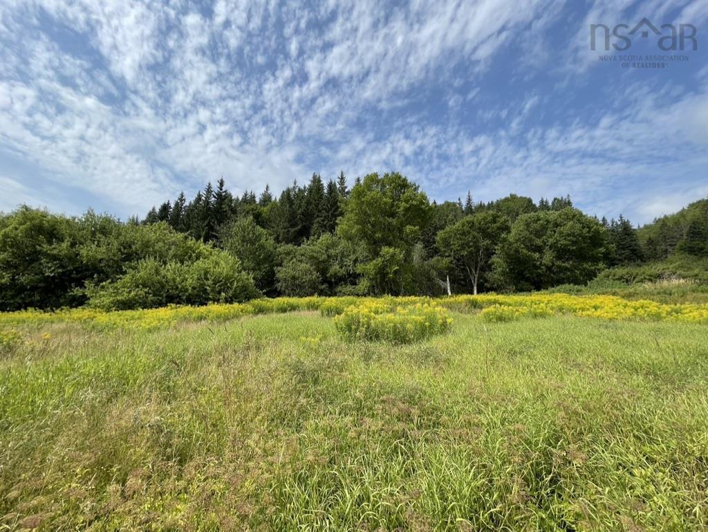 3 Lots Meagher Road, Hays River, NS
