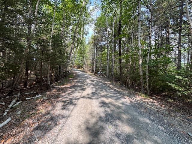 Lot 25 Beaver Dam Trail, Labelle, NS