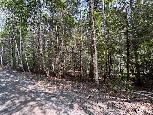 Lot 25 Beaver Dam Trail, Labelle, NS