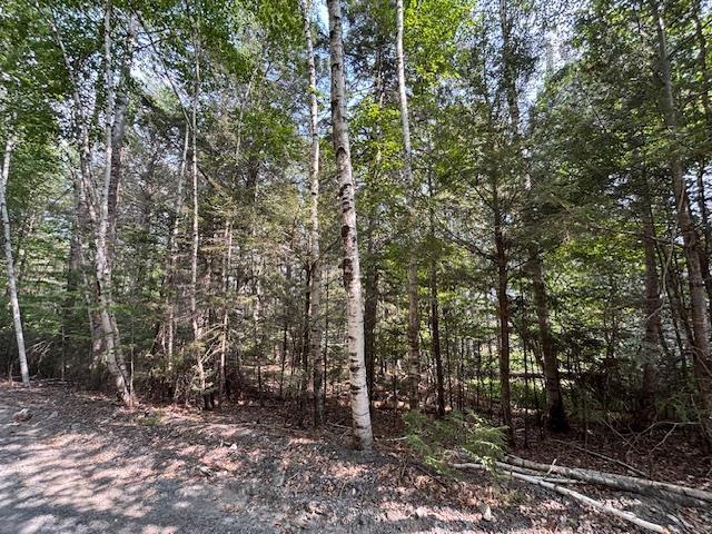 Lot 25 Beaver Dam Trail, Labelle, NS