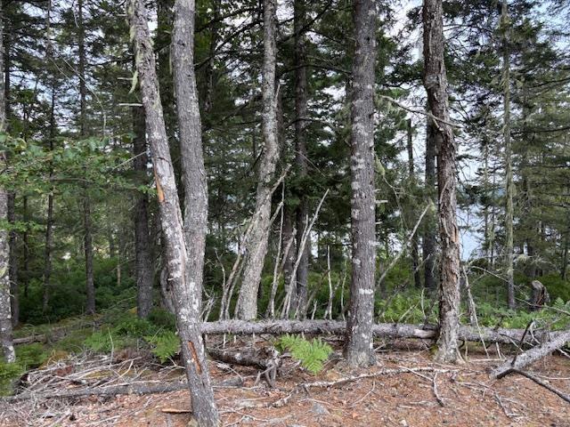 Lot 25 Beaver Dam Trail, Labelle, NS