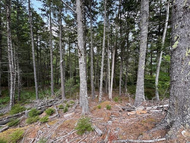 Lot 25 Beaver Dam Trail, Labelle, NS