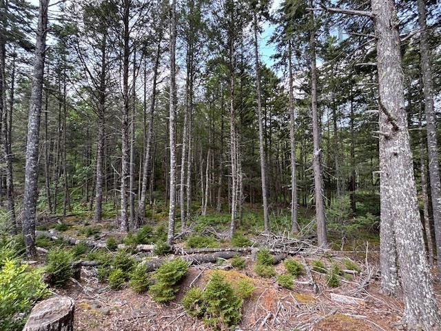 Lot 25 Beaver Dam Trail, Labelle, NS