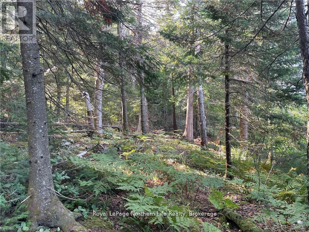 1945 Alsace Road, Nipissing, ON