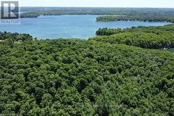 466408 12TH CONCESSION B, R.R. 4 Grey Highlands, ON N0C 1E0