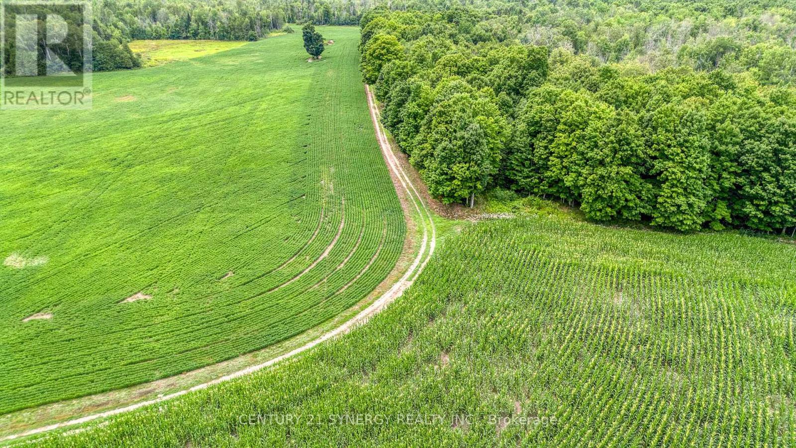 1998 Drummond Concession 2 Concession, Drummond/North Elmsley, ON