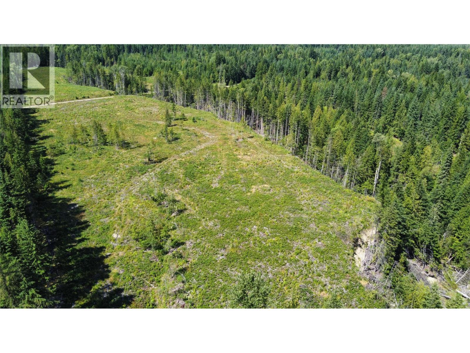 Arrow Park Bellevue Road Lot# Lot A, Arrow Park, BC
