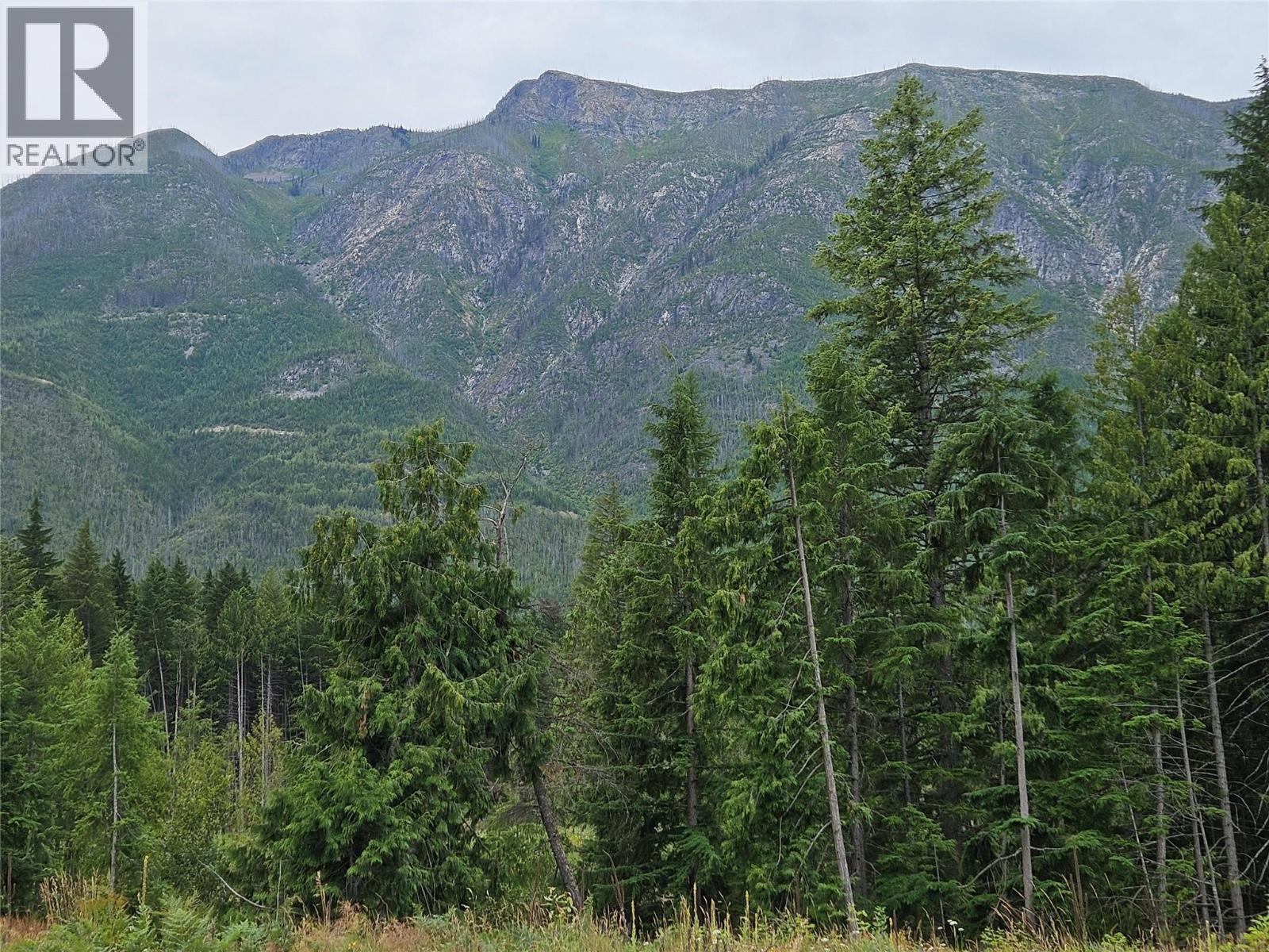 Arrow Park Bellevue Road Lot# Lot A, Arrow Park, BC