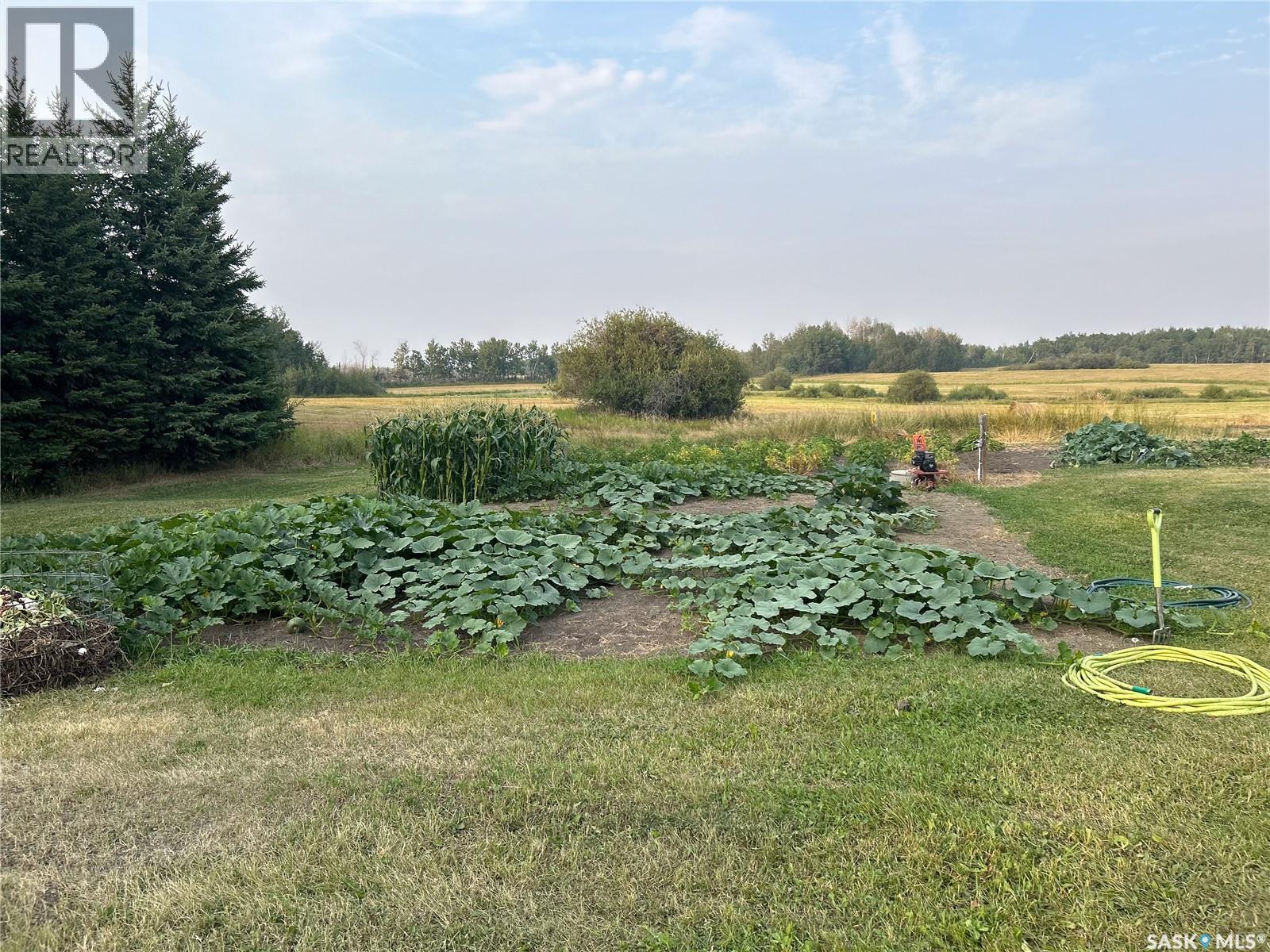 Turtleford Acreage, Mervin Rm No.499, SK - Outdoor With View