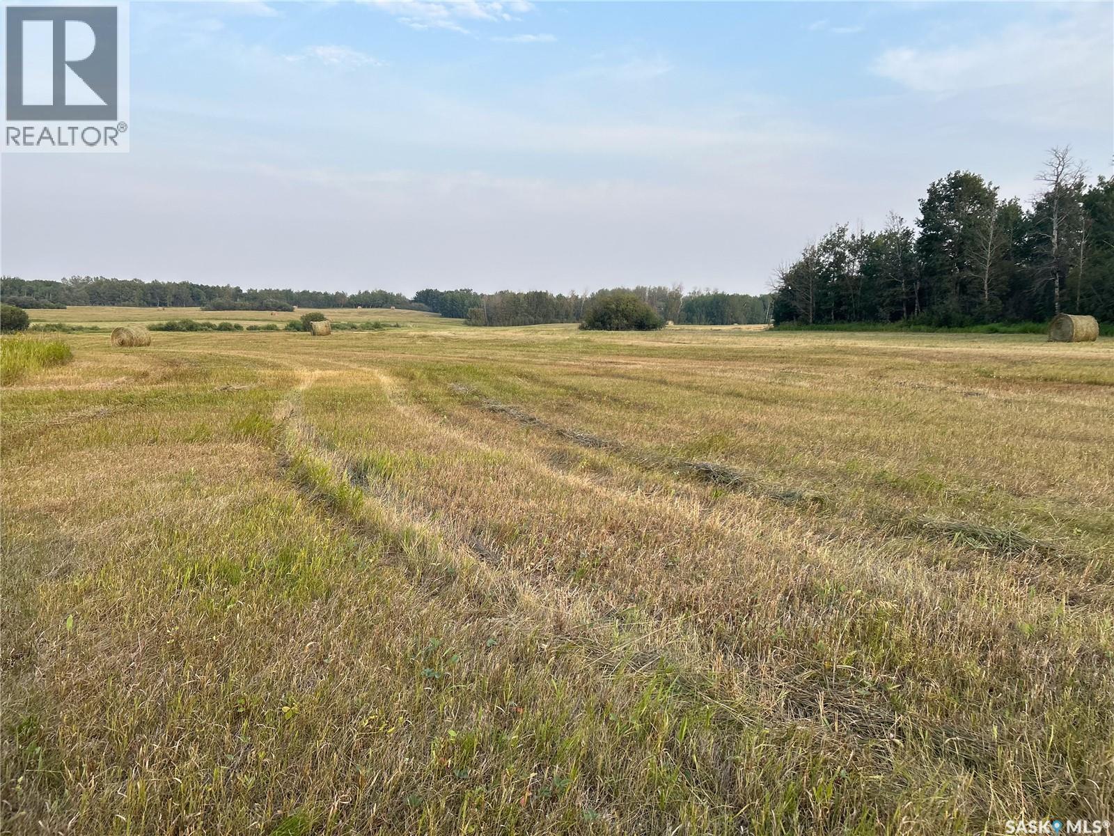 Turtleford Acreage, Mervin Rm No.499, SK - Outdoor With View
