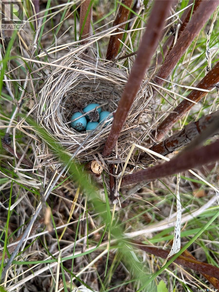 Turtleford Acreage, Mervin Rm No.499, SK -