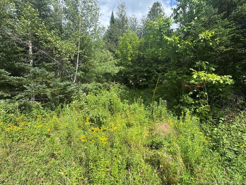 25-2 Route 620, Estey'S Bridge, NB