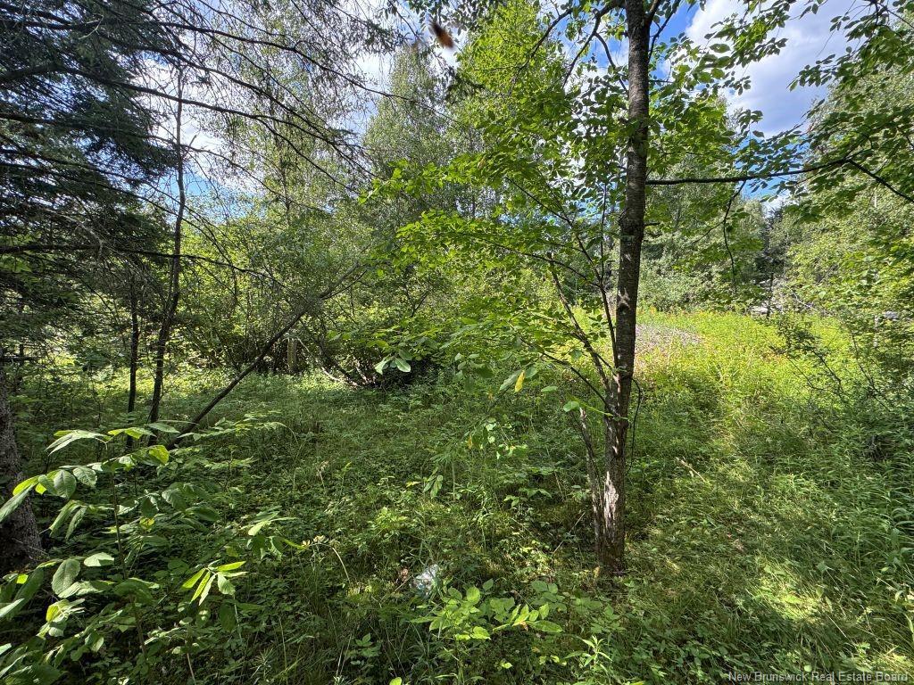 25-2 Route 620, Estey'S Bridge, NB