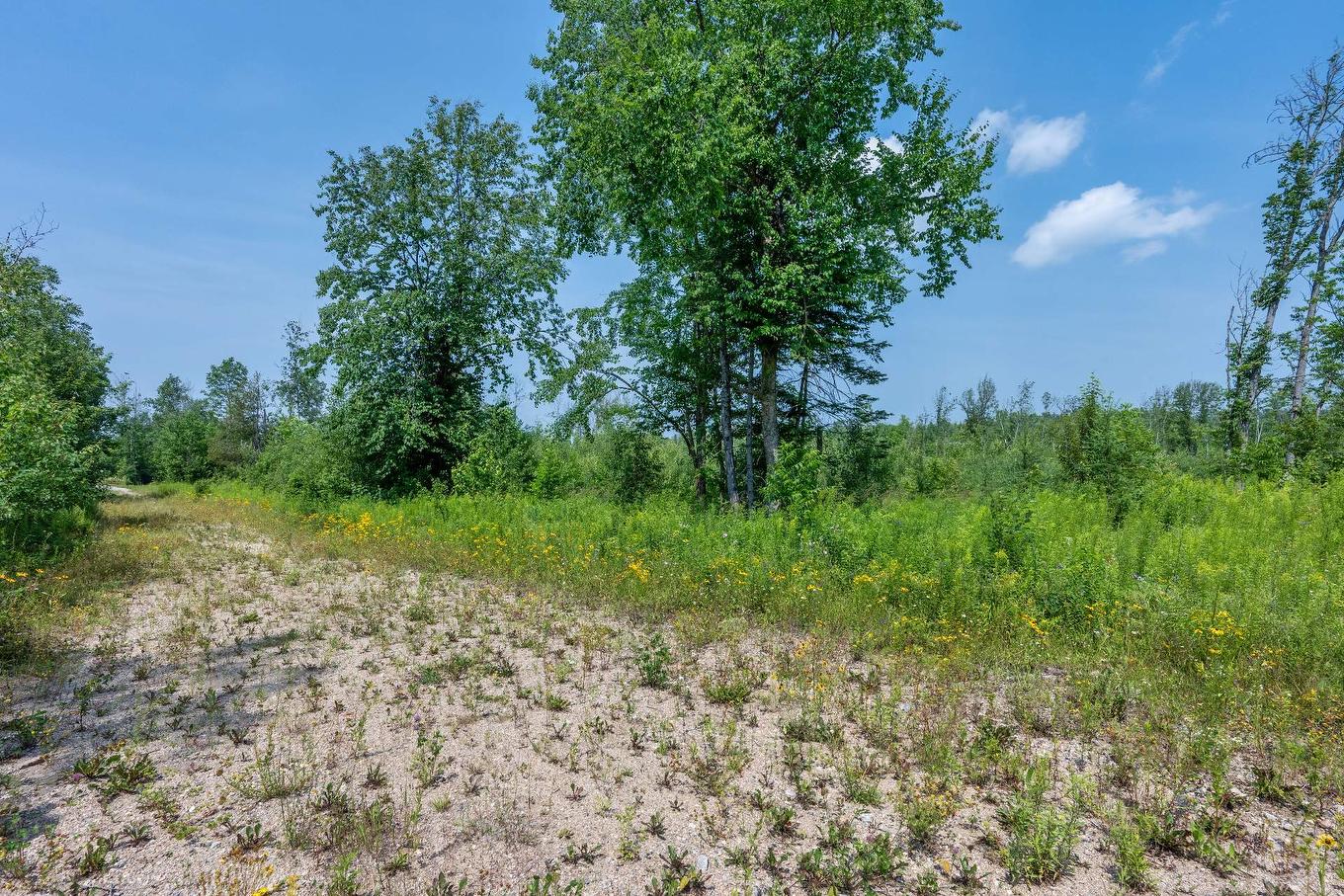 Land/Lot - Ch. Des Quatre-Fourches, Lac-Des-Écorces, QC