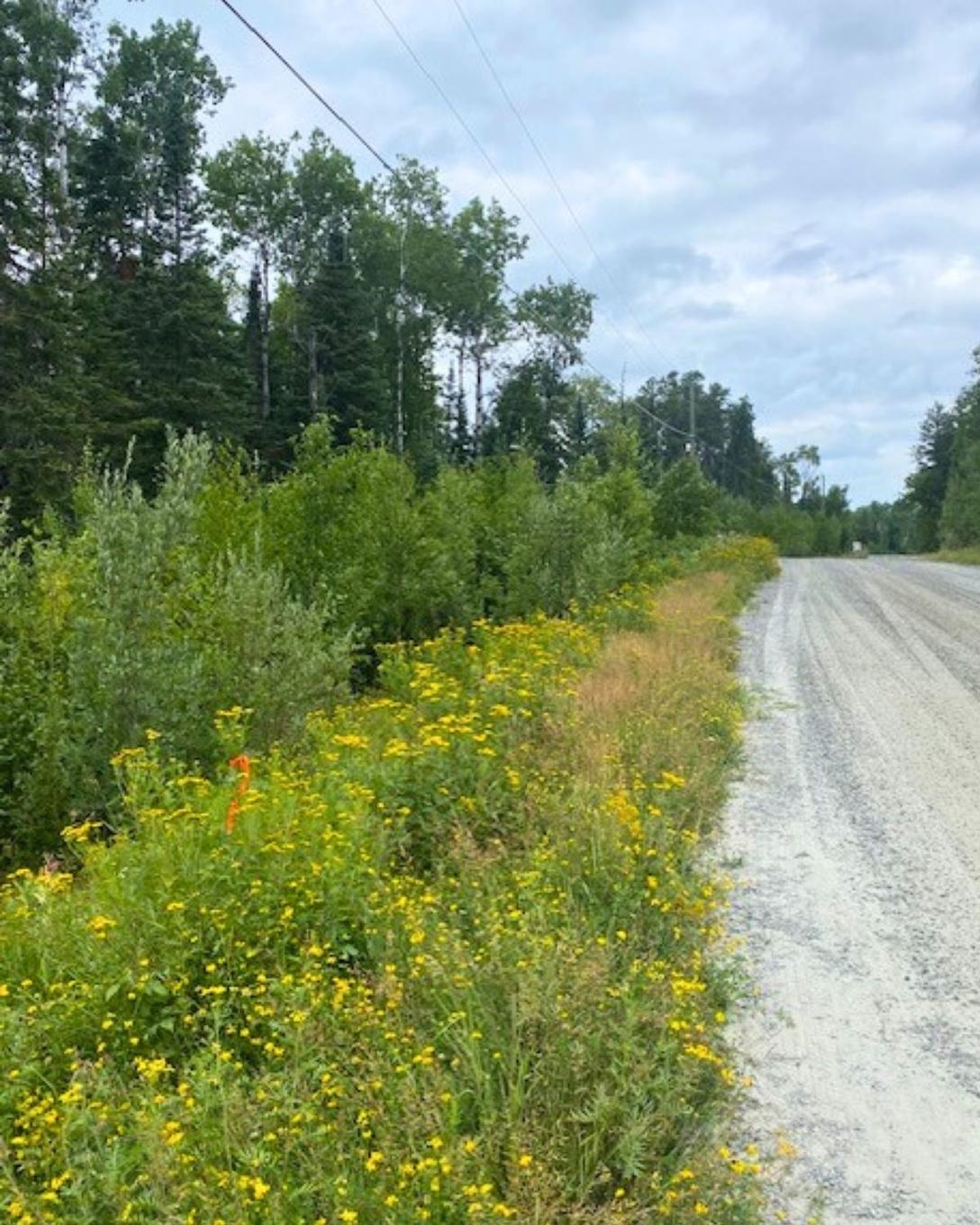 Lot 15 Jarnel Drive, Kenora, ON