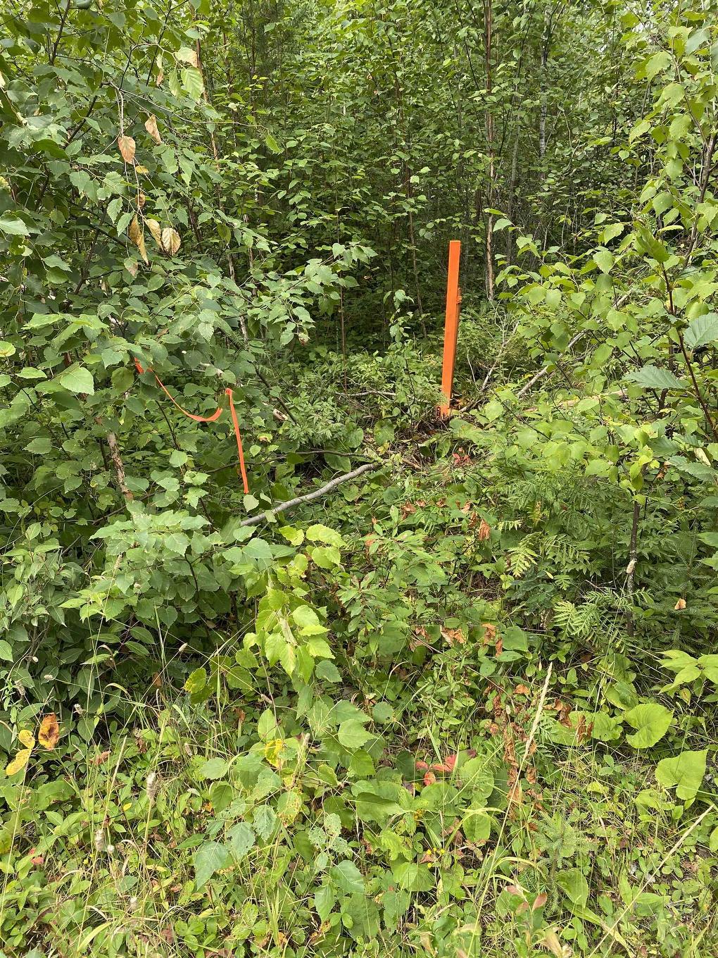 Lot 14 Jarnel Drive, Kenora, ON