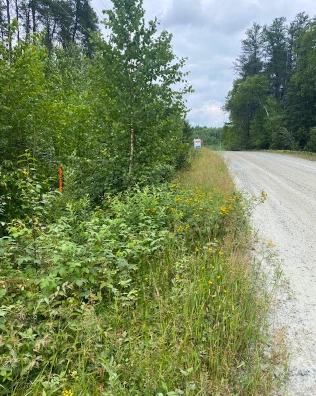 Lot 14 Jarnel Drive, Kenora, ON