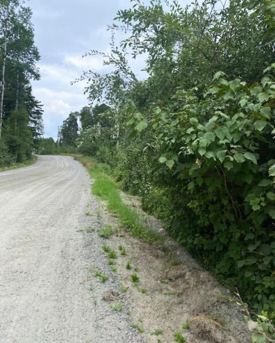 Lot 14 Jarnel Drive, Kenora, ON