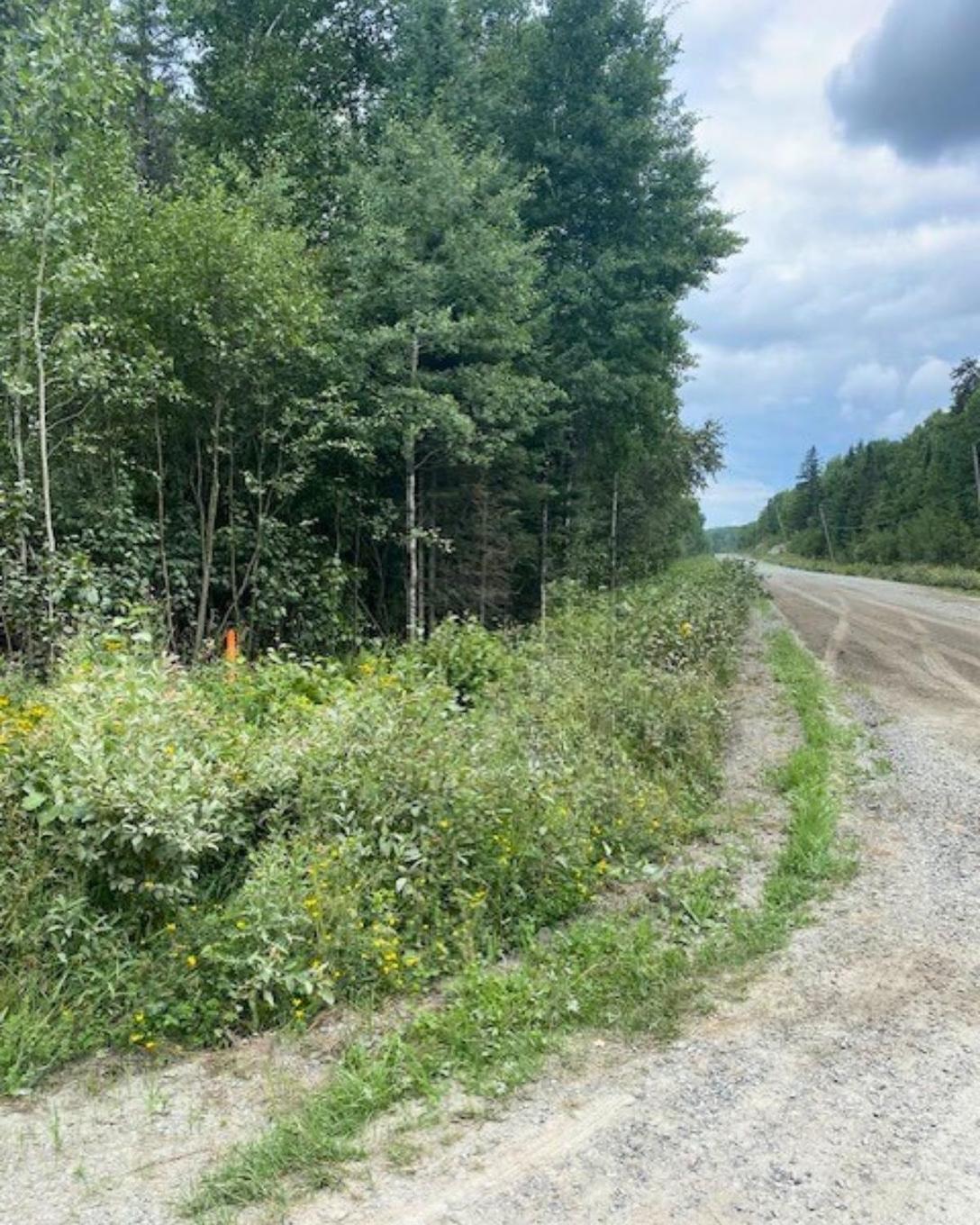 Lot 14 Jarnel Drive, Kenora, ON