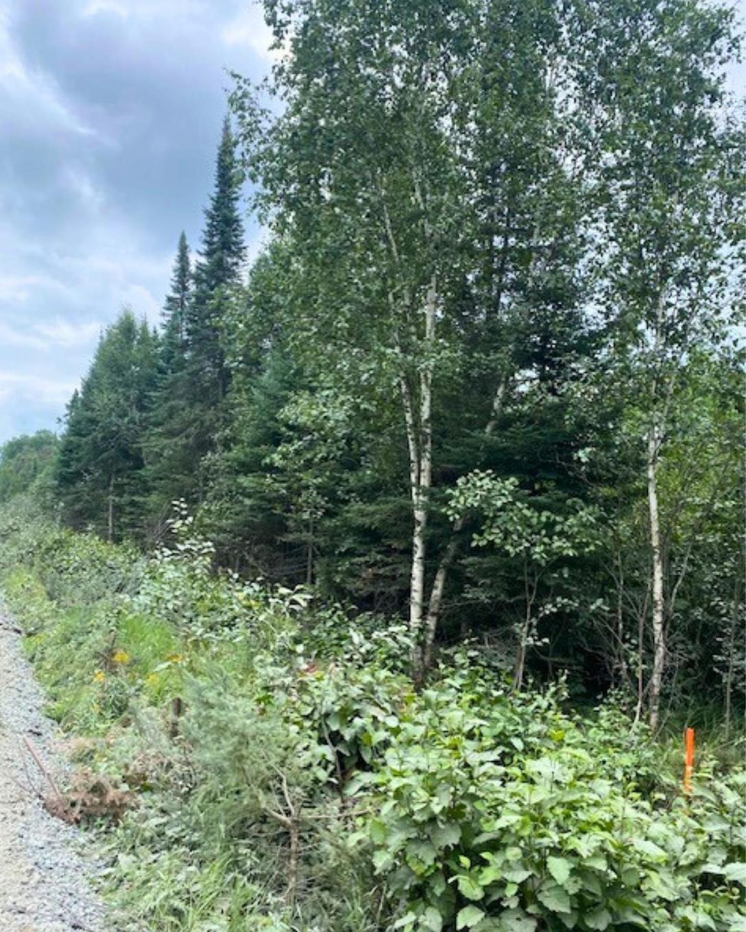 Lot 14 Jarnel Drive, Kenora, ON