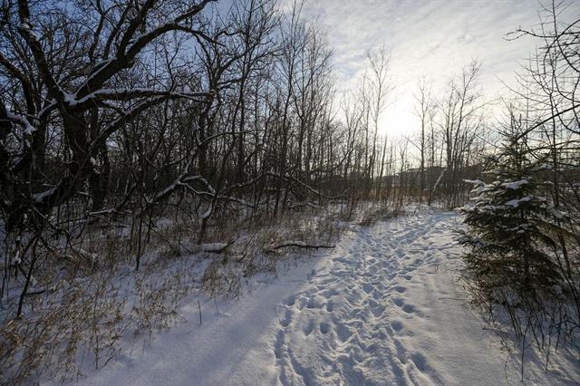 0 River Rd, Lorette, MB