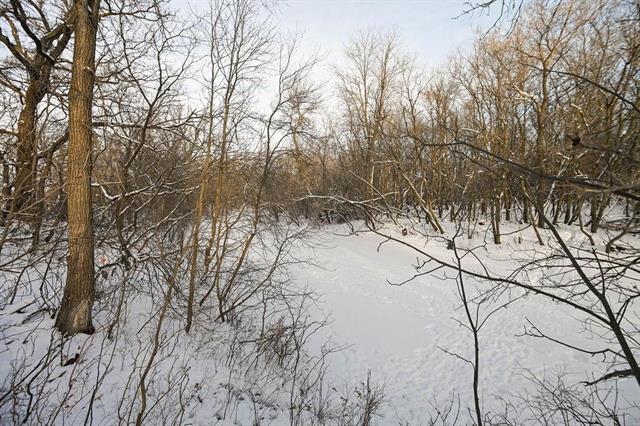 0 River Rd, Lorette, MB