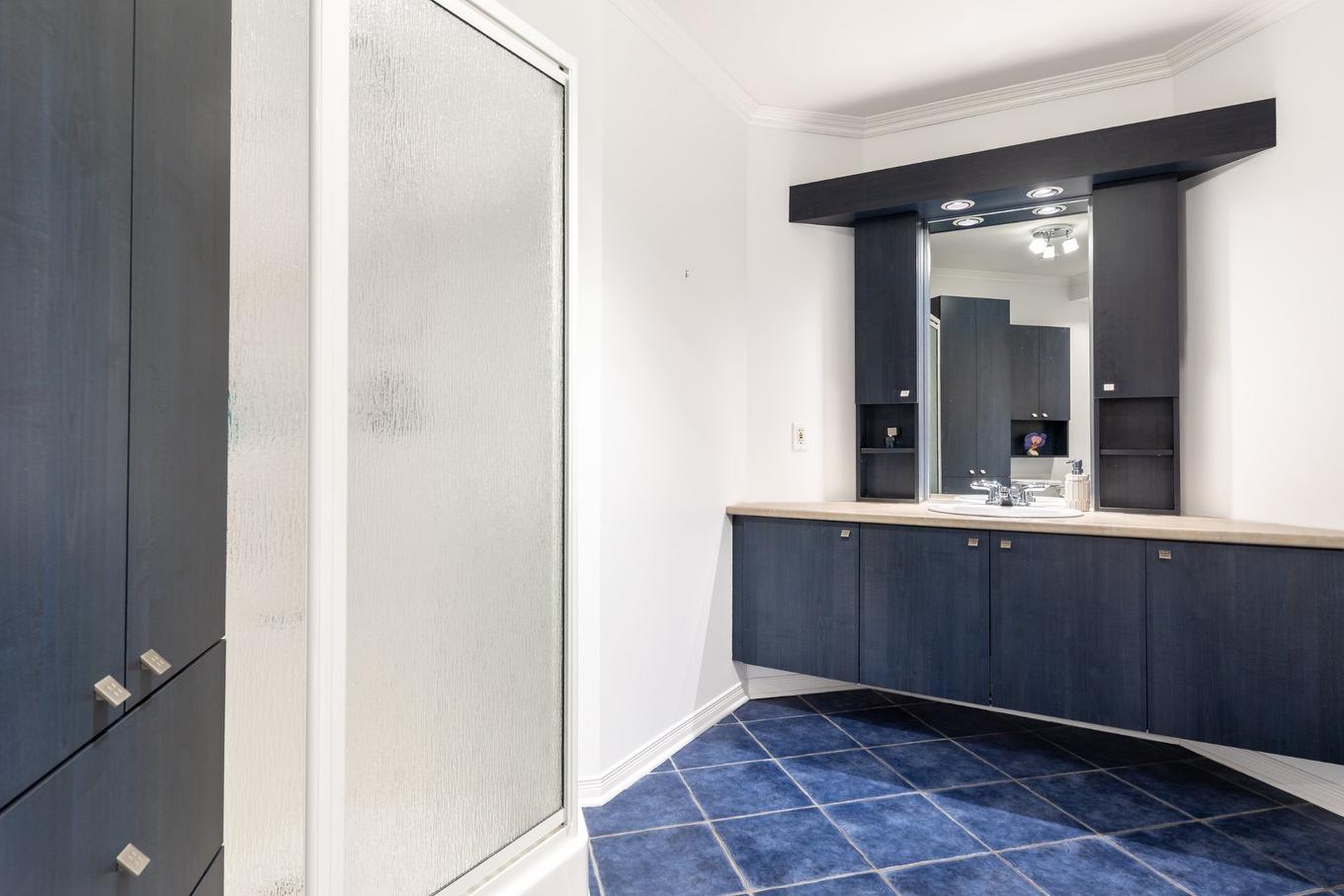 Salle de bains - 9-501 Rue Des Tilleuls, Saint-Bruno-De-Montarville, QC - Indoor Photo Showing Bathroom