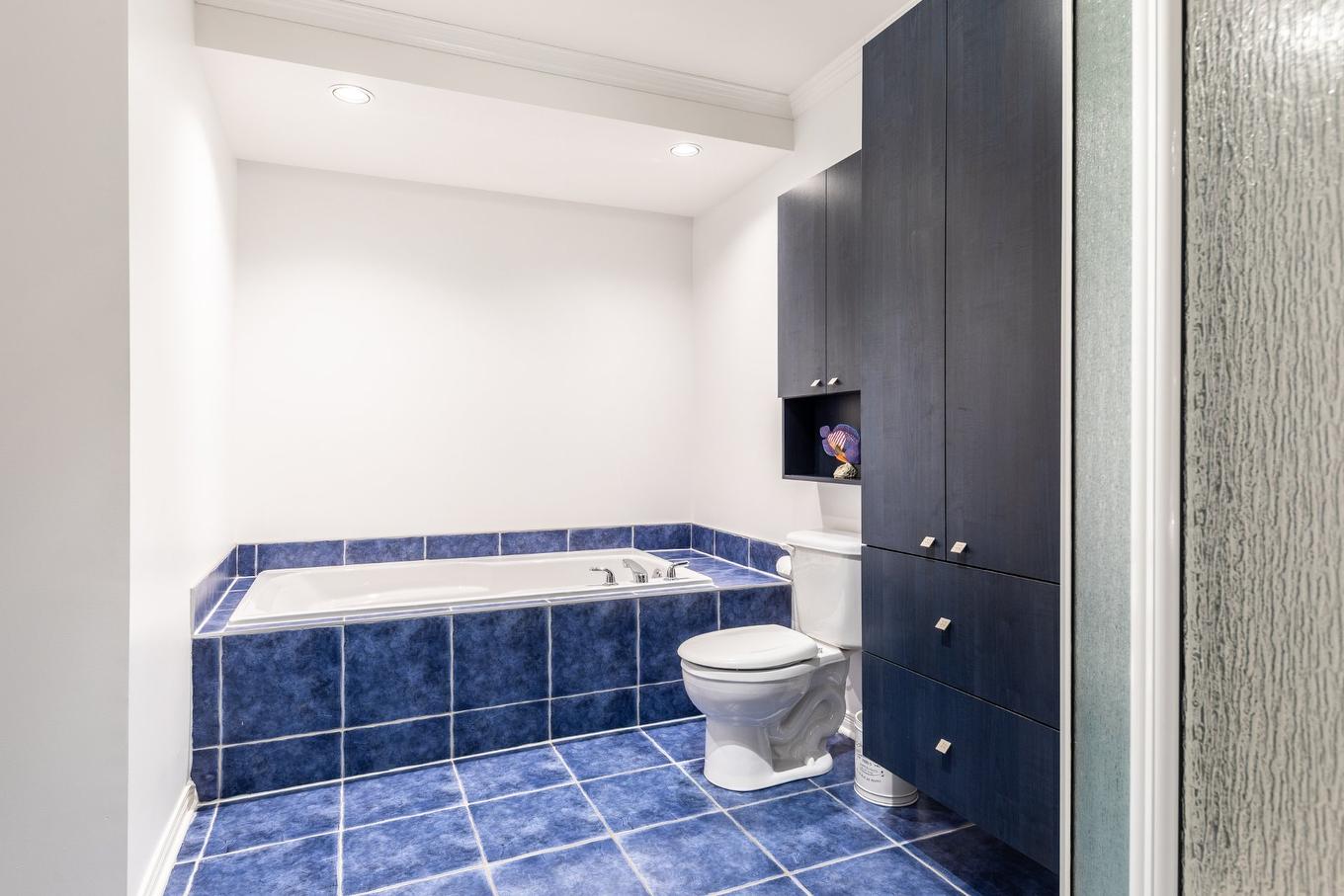 Salle de bains - 9-501 Rue Des Tilleuls, Saint-Bruno-De-Montarville, QC - Indoor Photo Showing Bathroom