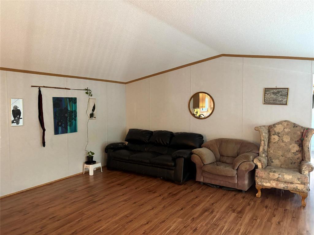89 Mcdonald Drive, Strathclair, MB - Indoor Photo Showing Living Room