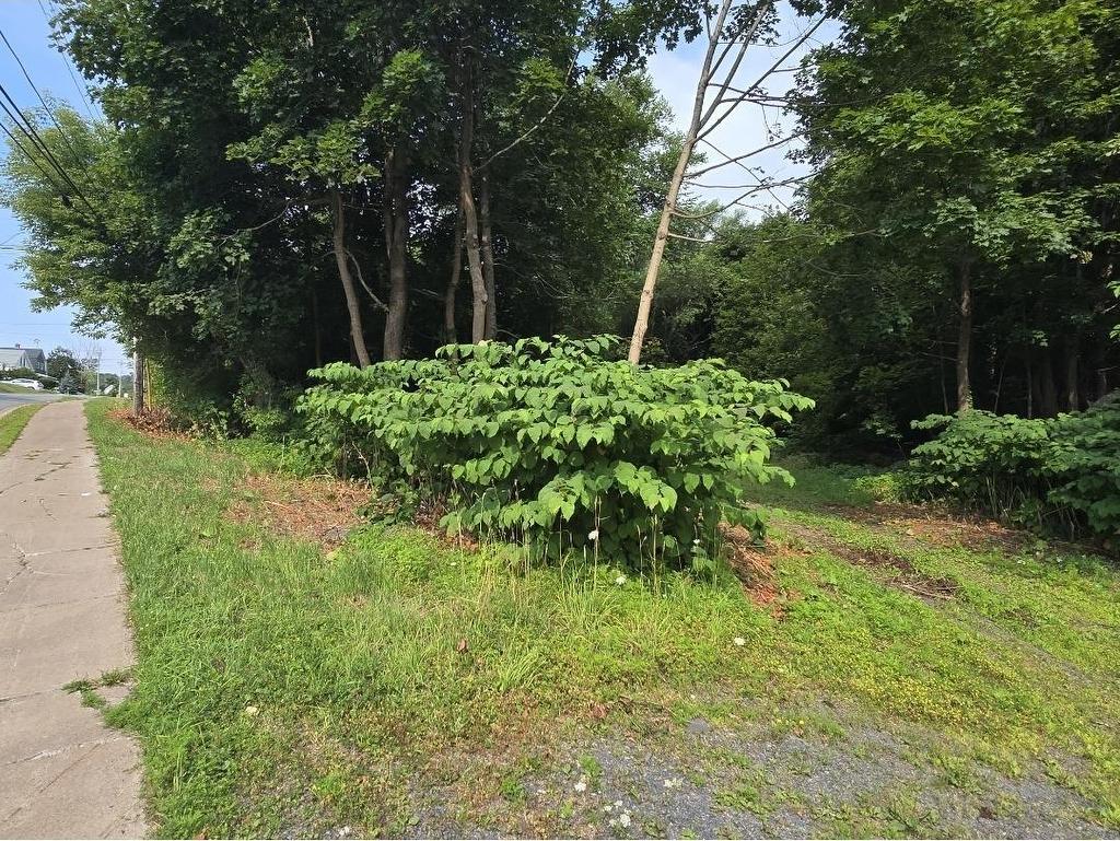 23 Munroe Avenue, New Glasgow, NS