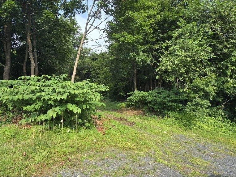 23 Munroe Avenue, New Glasgow, NS