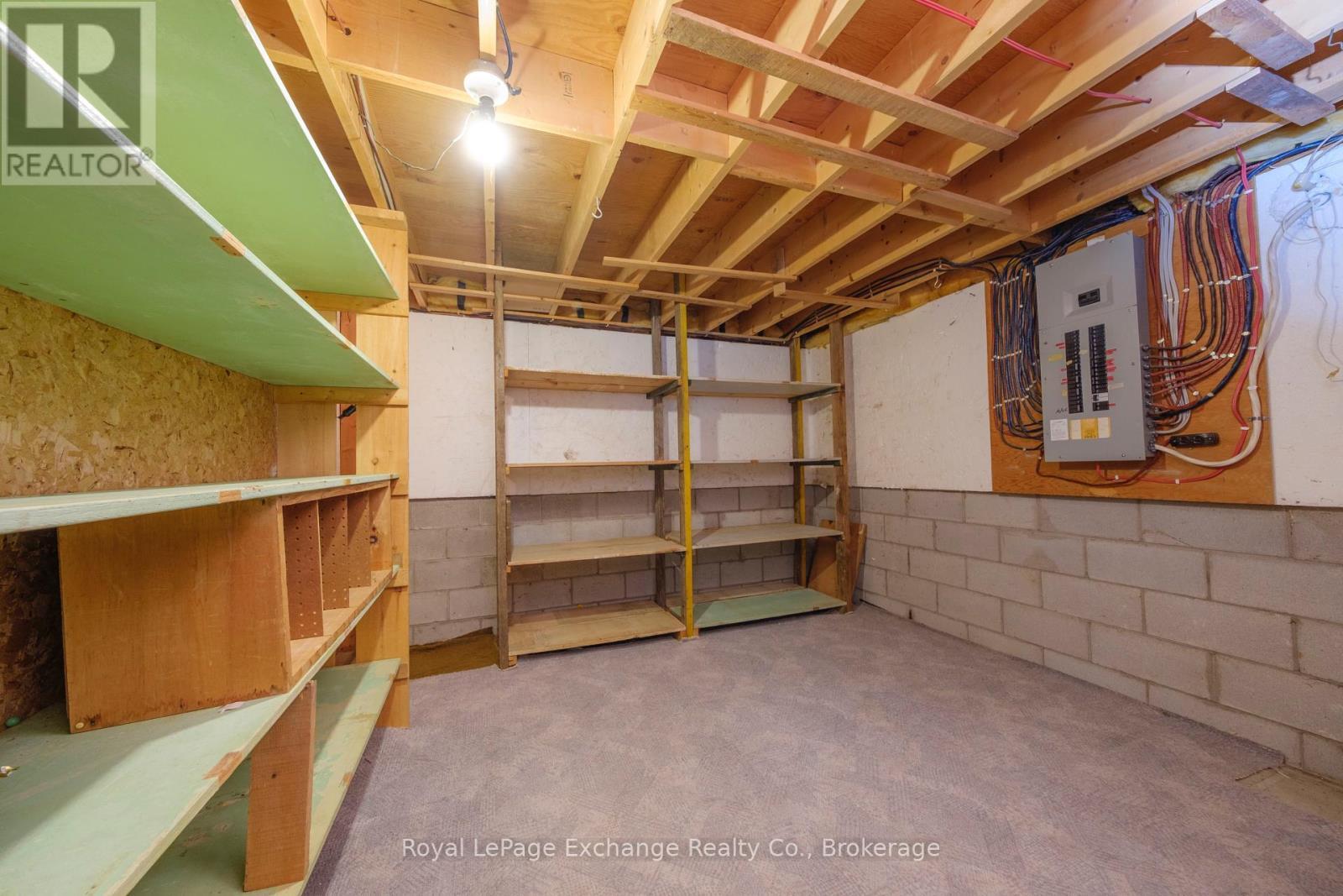 426 Elgin Street, Huron-Kinloss (Lucknow), ON - Indoor Photo Showing Basement