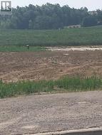 3151 COUNTY RD 2 Otonabee-South Monaghan, ON K0L 2G0