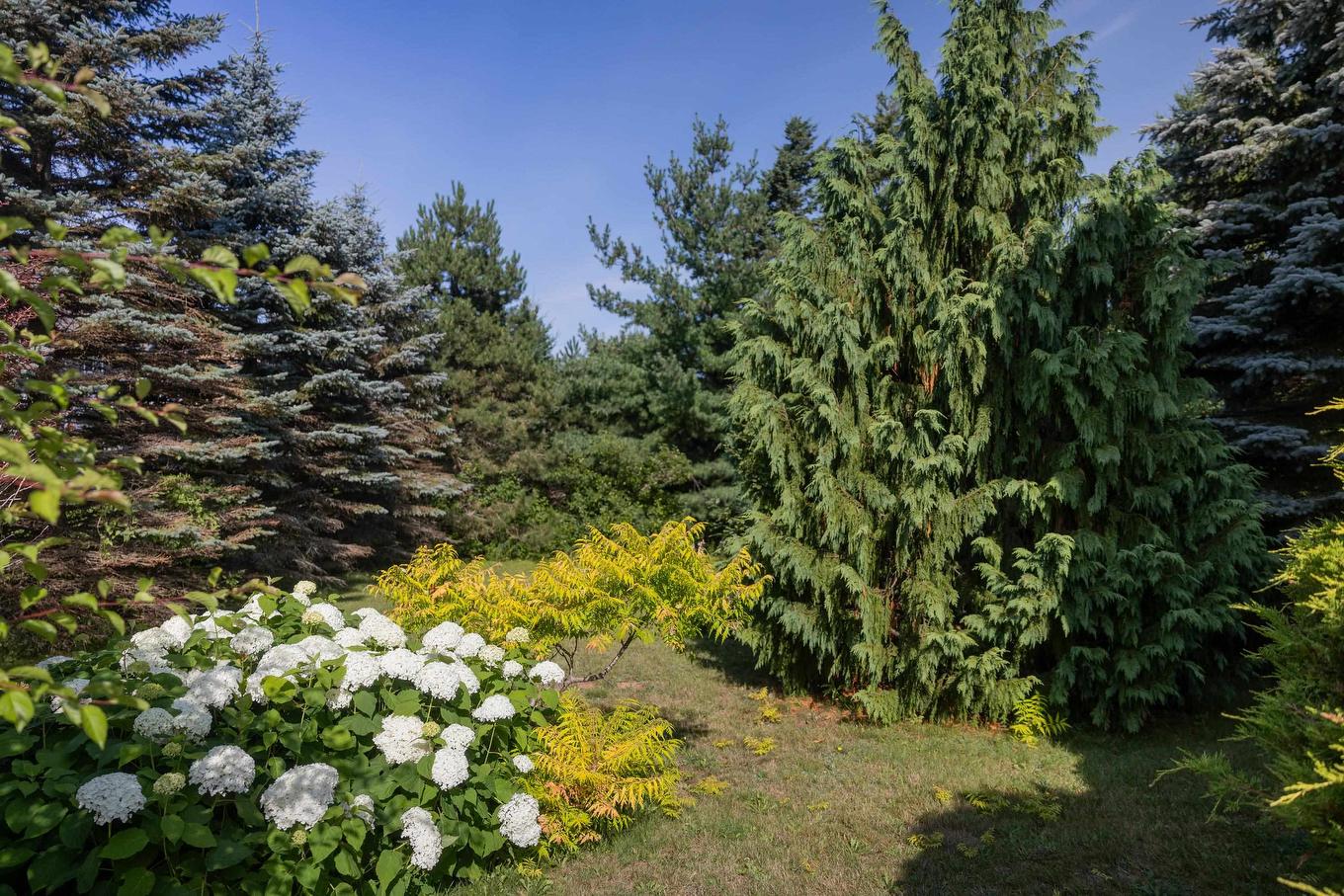 31 Parricus Mead Drive, West Royalty, PE