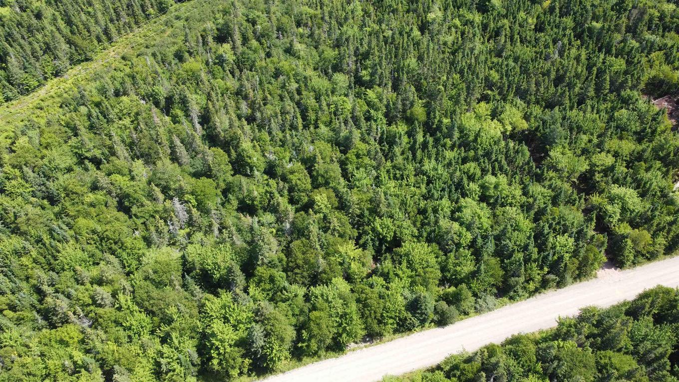 Lot 2 Calabash Road, Boularderie East, NS