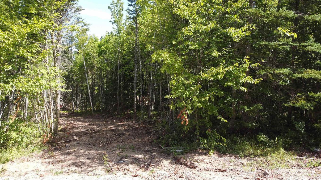 Lot 5 Calabash Road, Boularderie East, NS