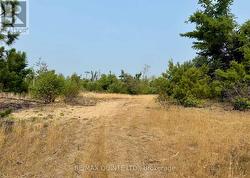 0 POTTER SETTLEMENT ROAD Tweed (Hungerford (Twp)), ON K0K 3J0