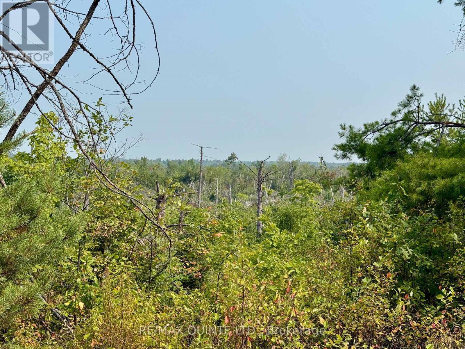 0 Potter Settlement Road, Tweed (Hungerford (Twp)), ON