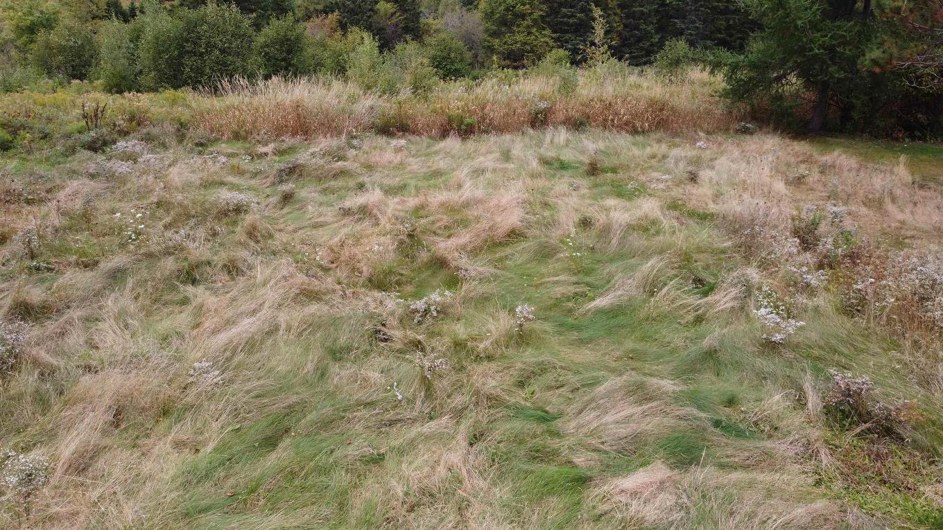 Lot Greenhill Road, Greenhill, NS