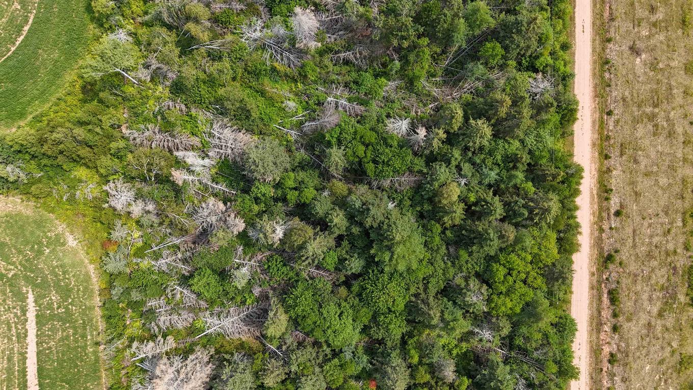 Lot 32 Lloyd Westaway Road, Albion, PE