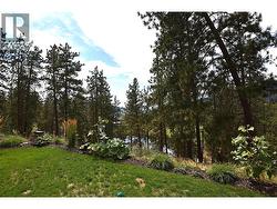 view from the deck -