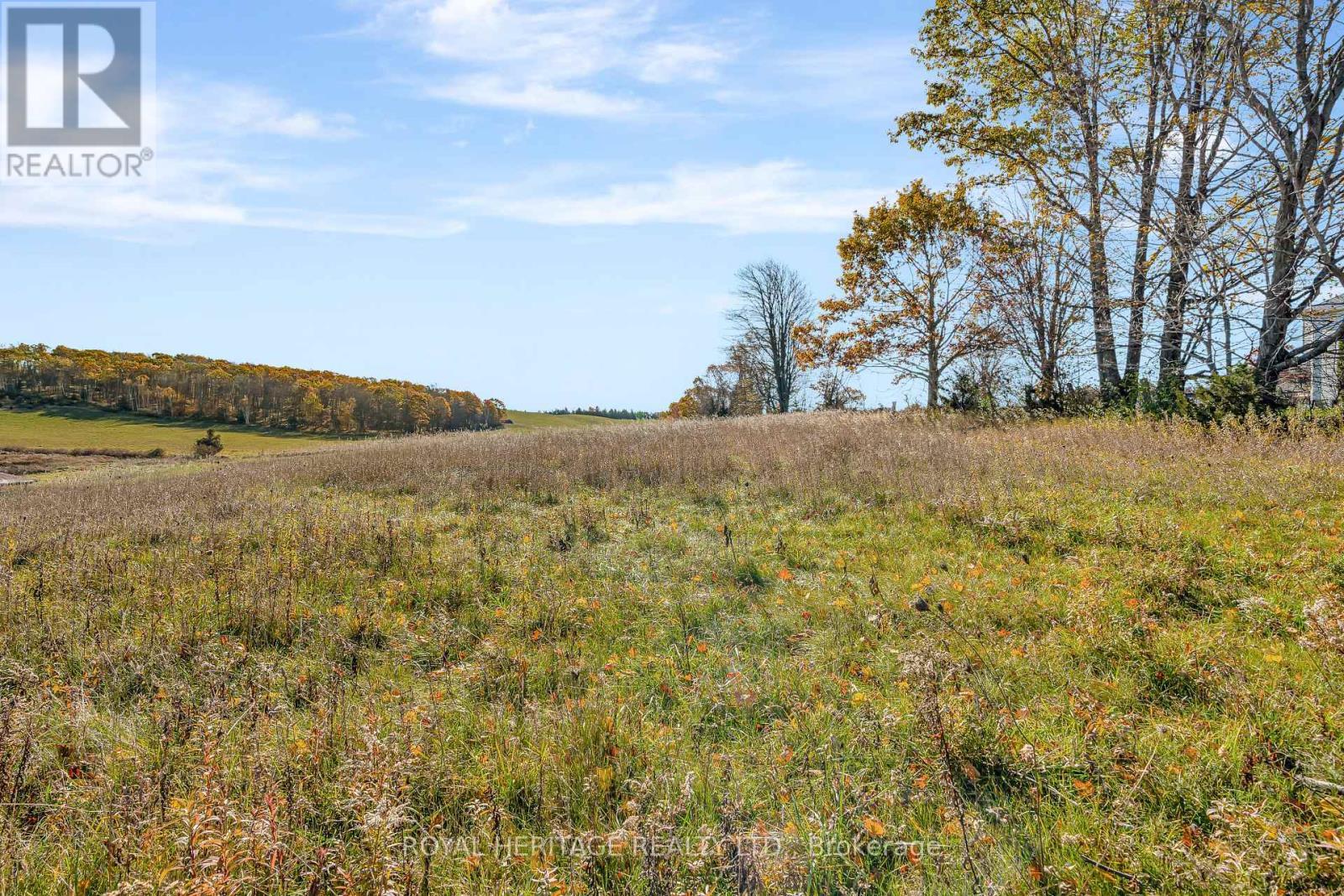 0 Little Lake Road, Brighton, ON