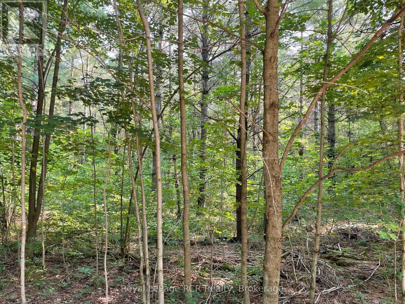 Part 1 Southgate Rd 26, Southgate, ON