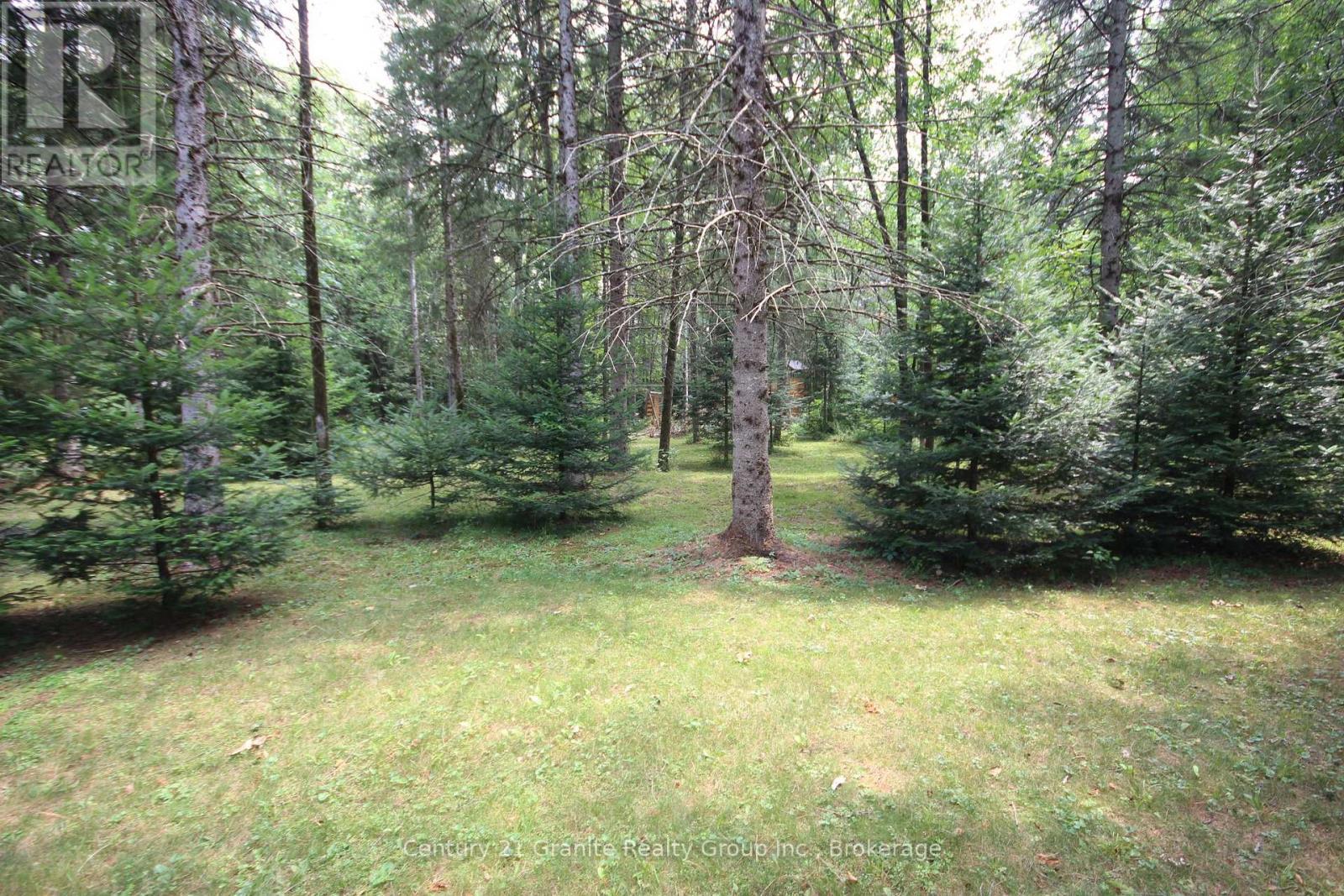 Park Setting - 1082 Green Lake Road, Algonquin Highlands (Stanhope), ON - Outdoor