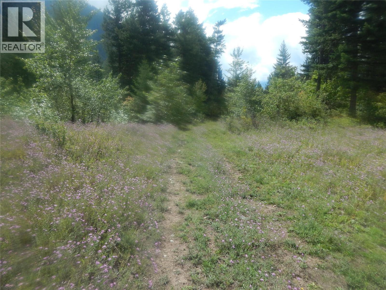 Pit Road Lot# 14, Lister, BC