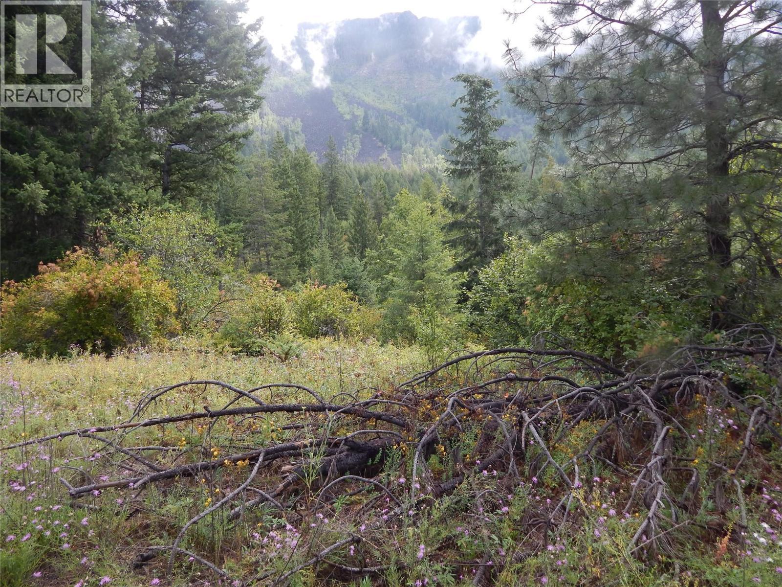 Pit Road Lot# 14, Lister, BC