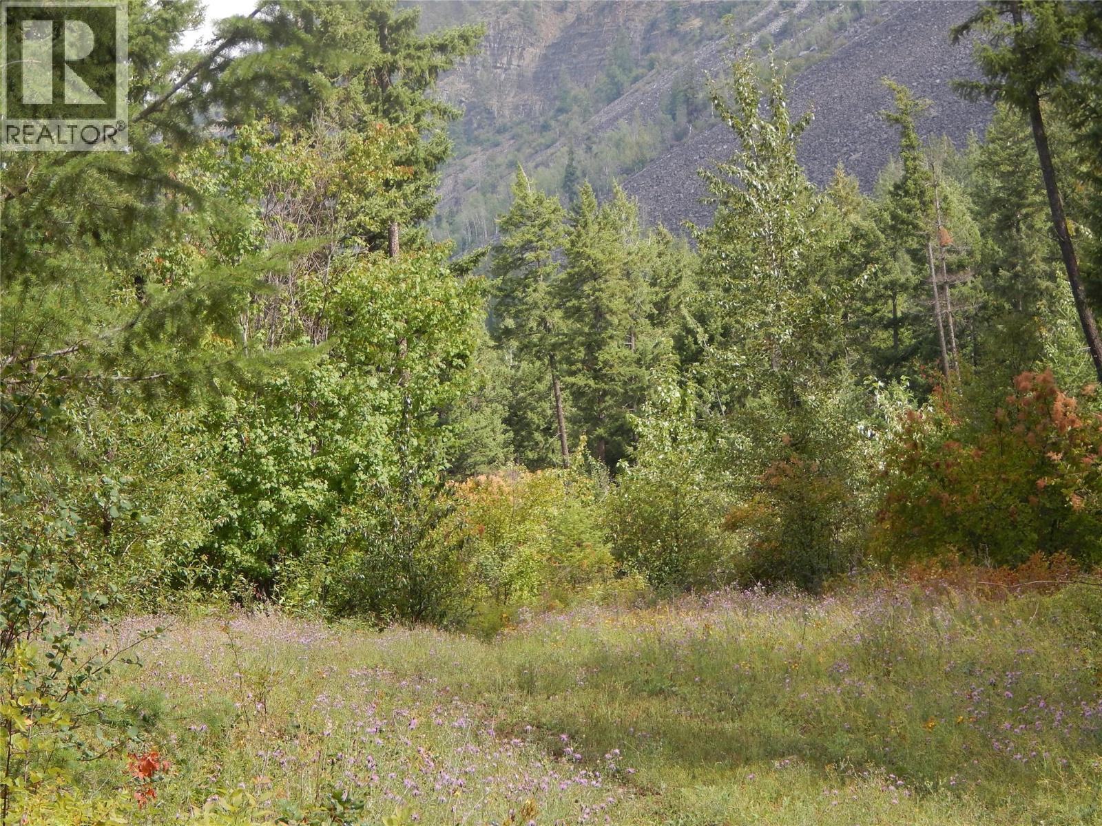 Pit Road Lot# 14, Lister, BC