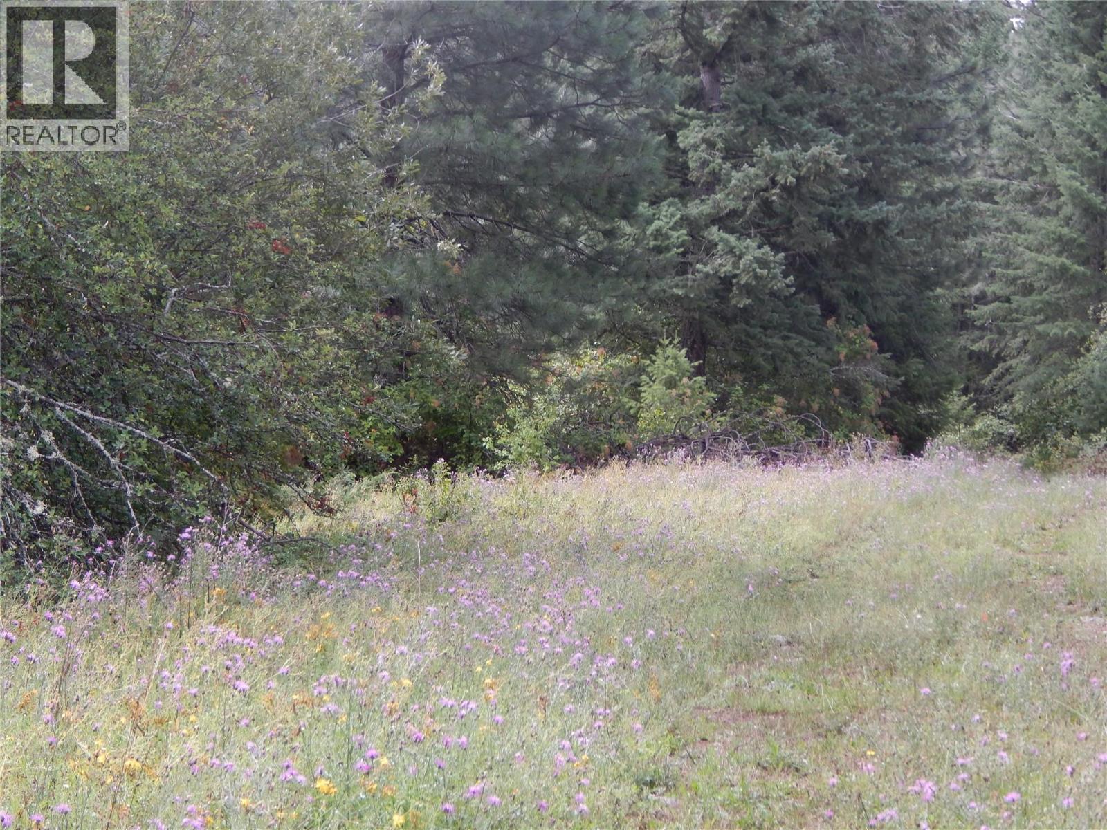 Pit Road Lot# 14, Lister, BC