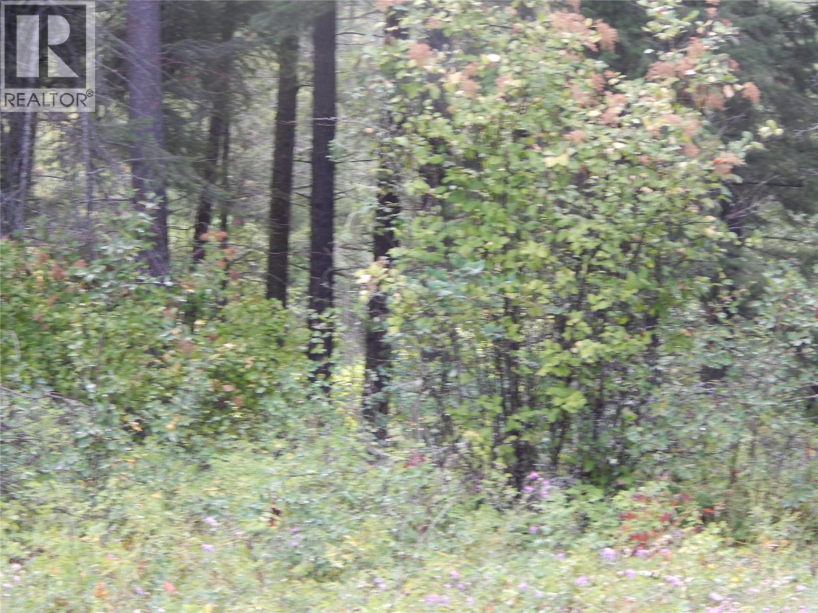 Pit Road Lot# 14, Lister, BC