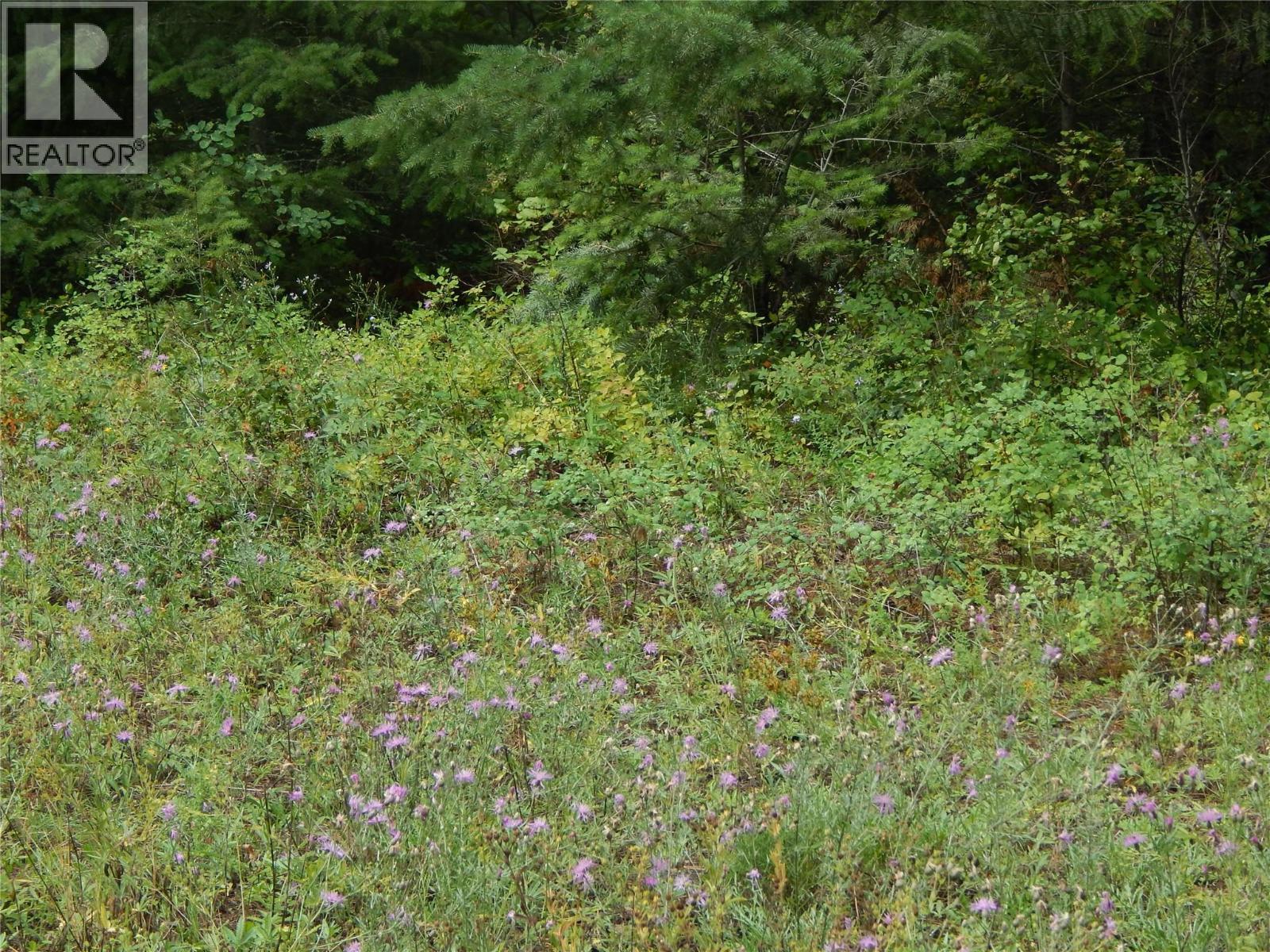Pit Road Lot# 14, Lister, BC